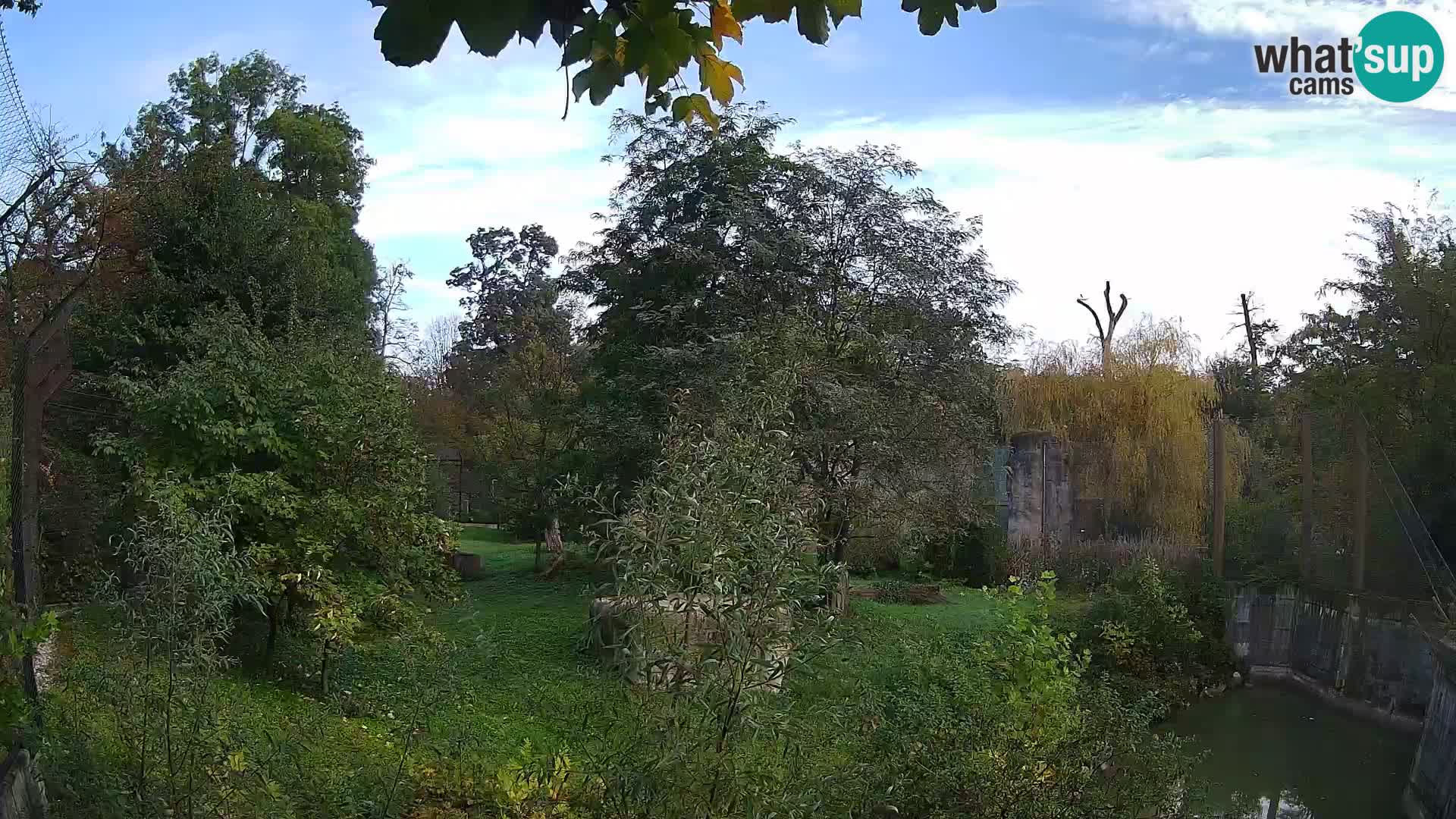 Zoo Zagreb – Leones