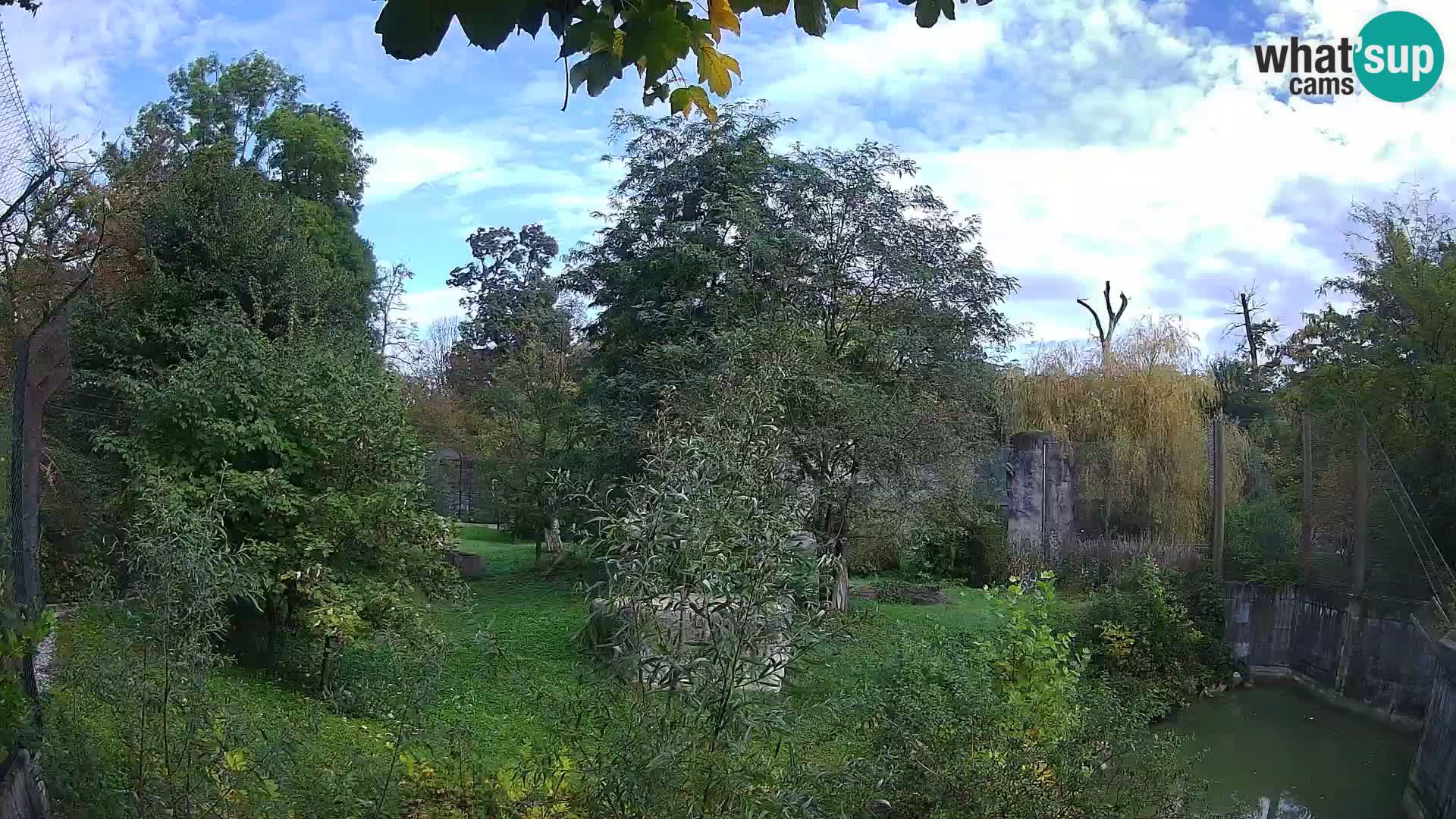 Zoo Zagreb – Löwen