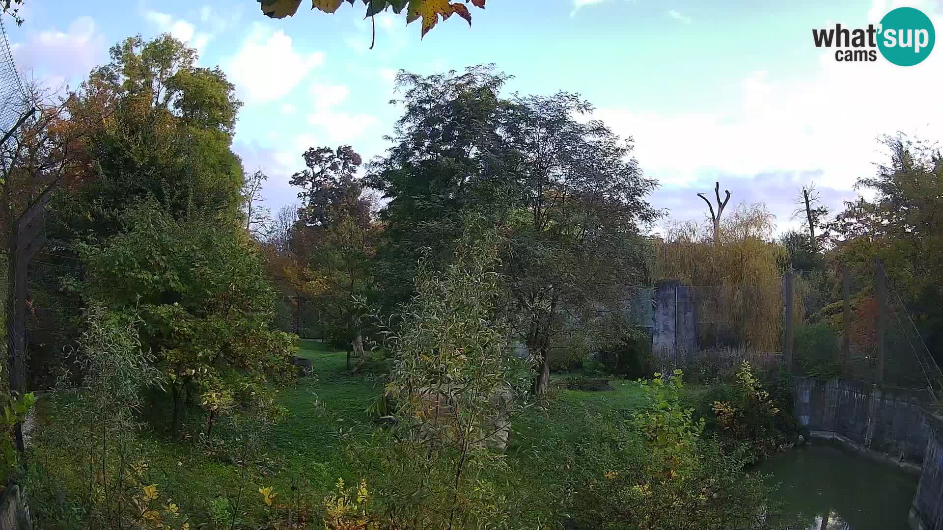 Zoo Zagreb – Löwen