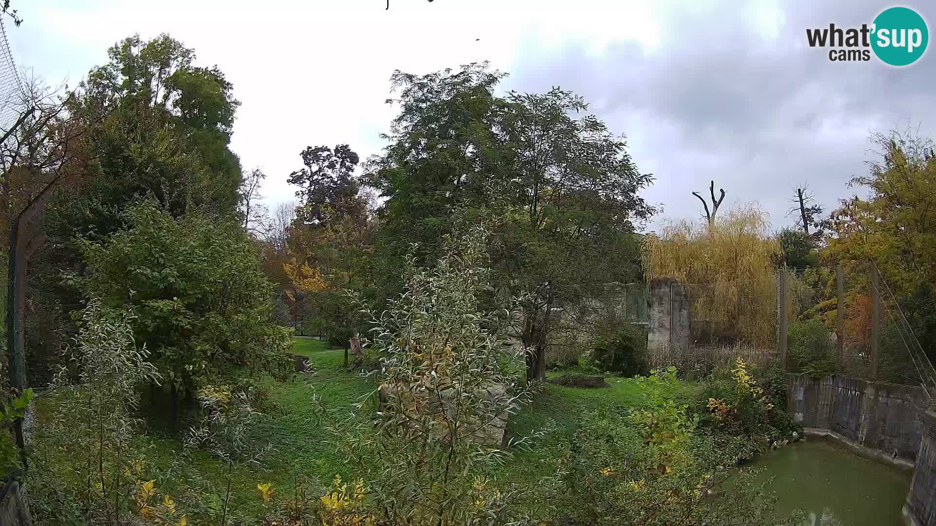 Zoo Zagreb – Leones