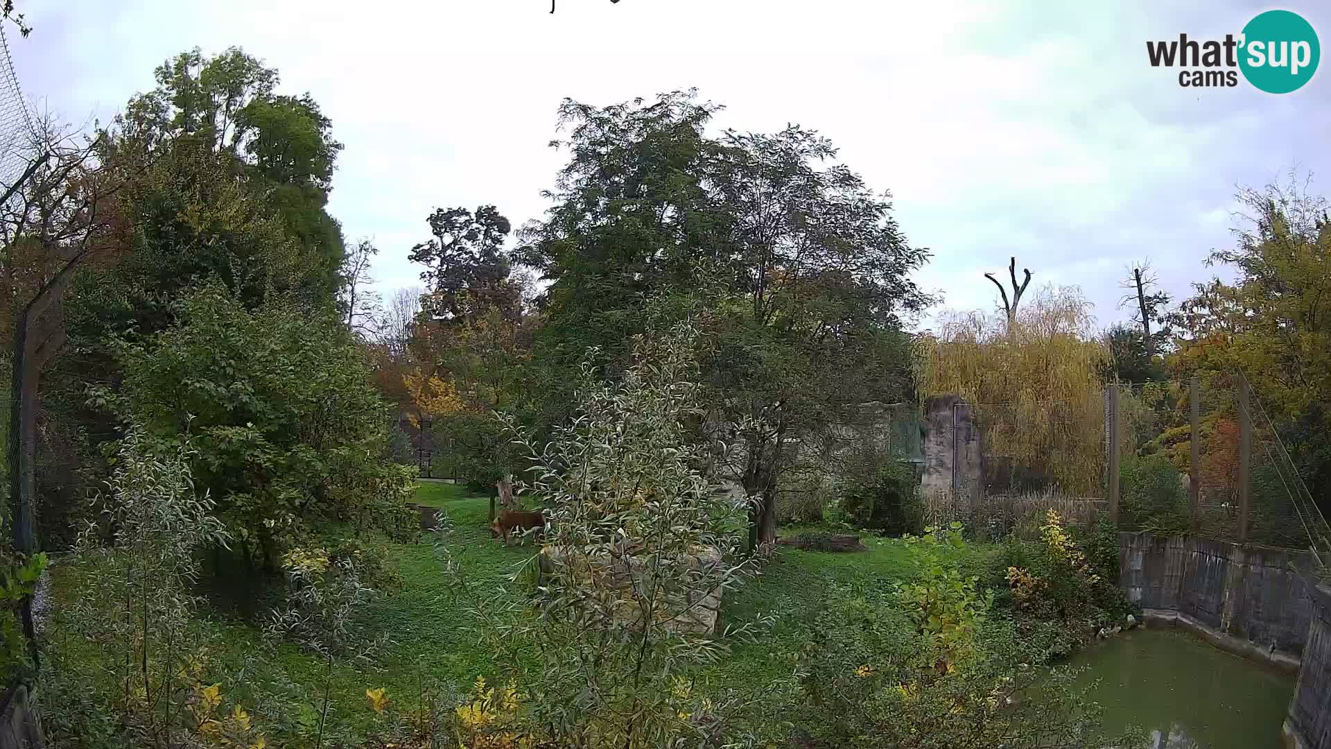 Zoo Zagreb – Leoni