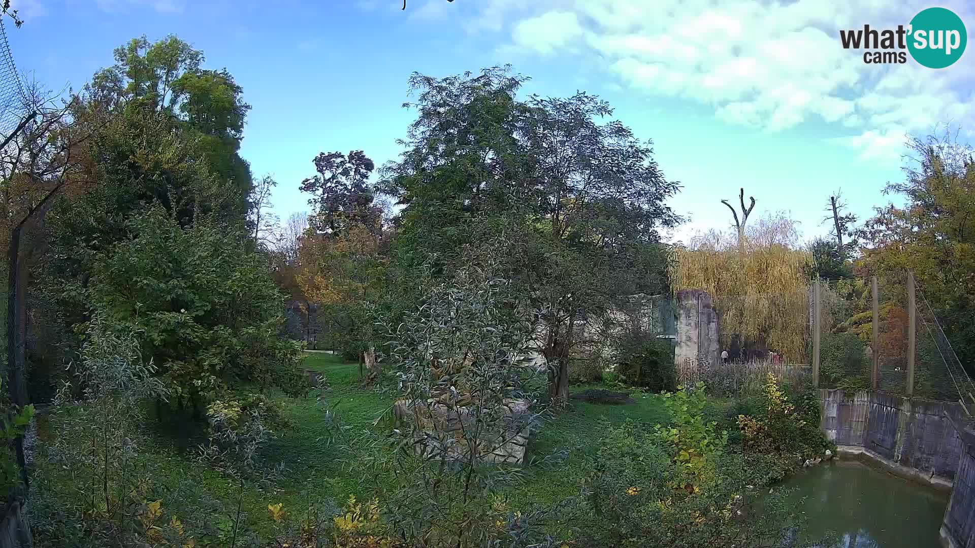 Zoo Zagreb – Leones