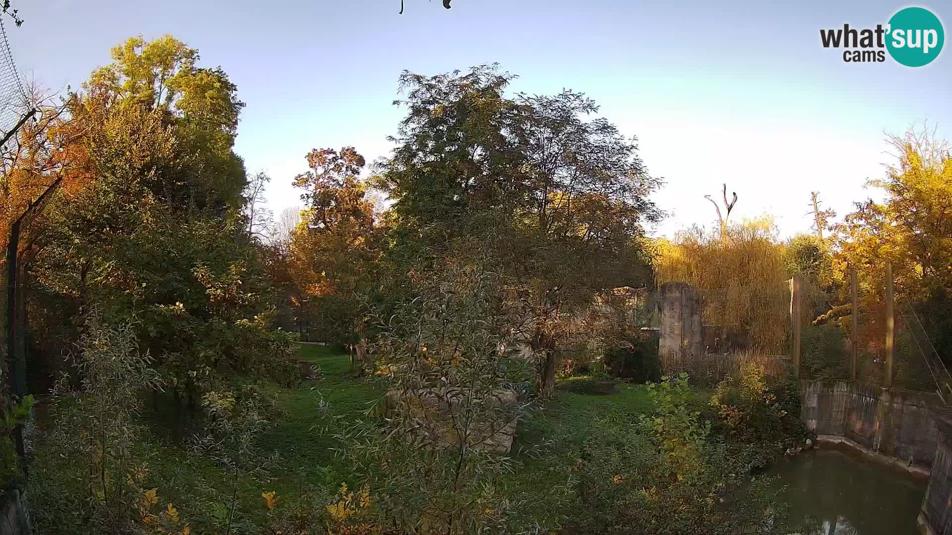 Zoo Zagreb – Lavovi
