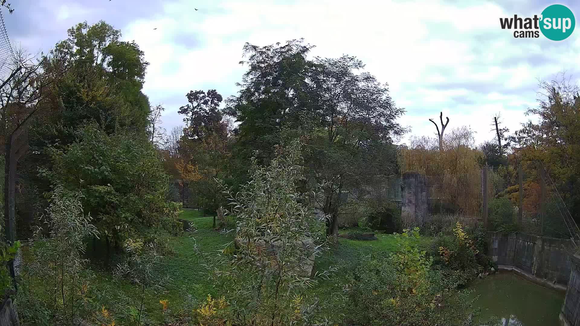 Zoo Zagreb – Leones