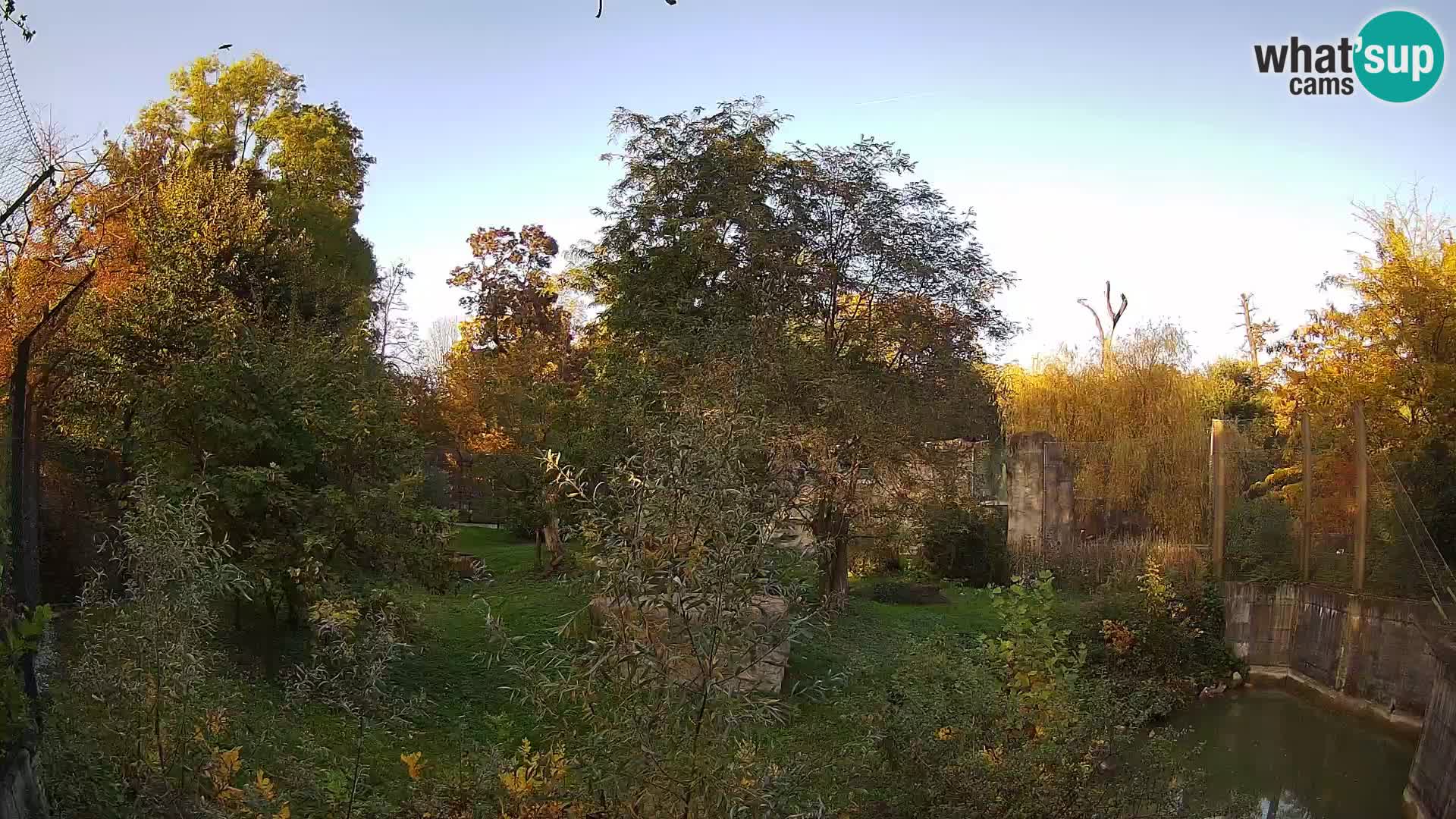 Zoo Zagreb – Leoni