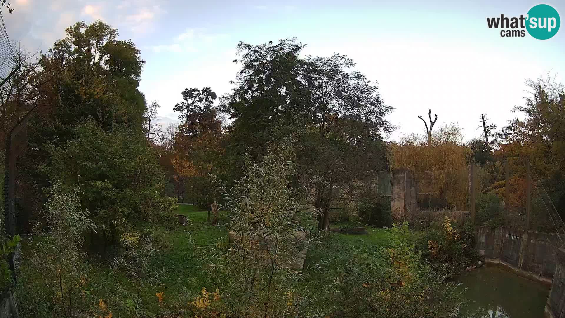 Zoo Zagreb – Leoni