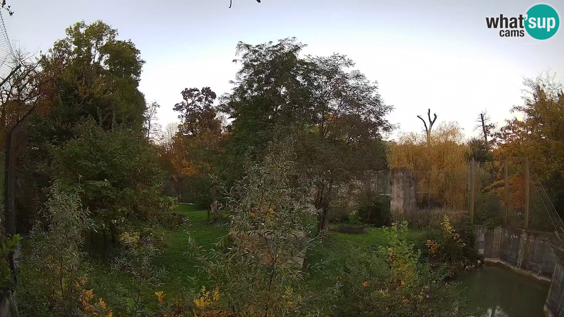 Zoo Zagreb – Leones