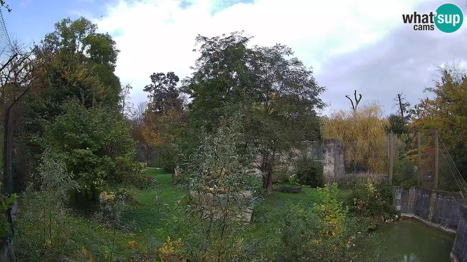 Spletna kamera Zoo Zagreb – Levi