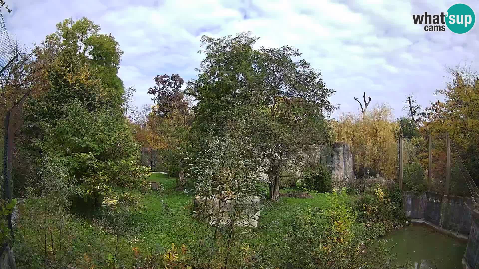 Spletna kamera Zoo Zagreb – Levi