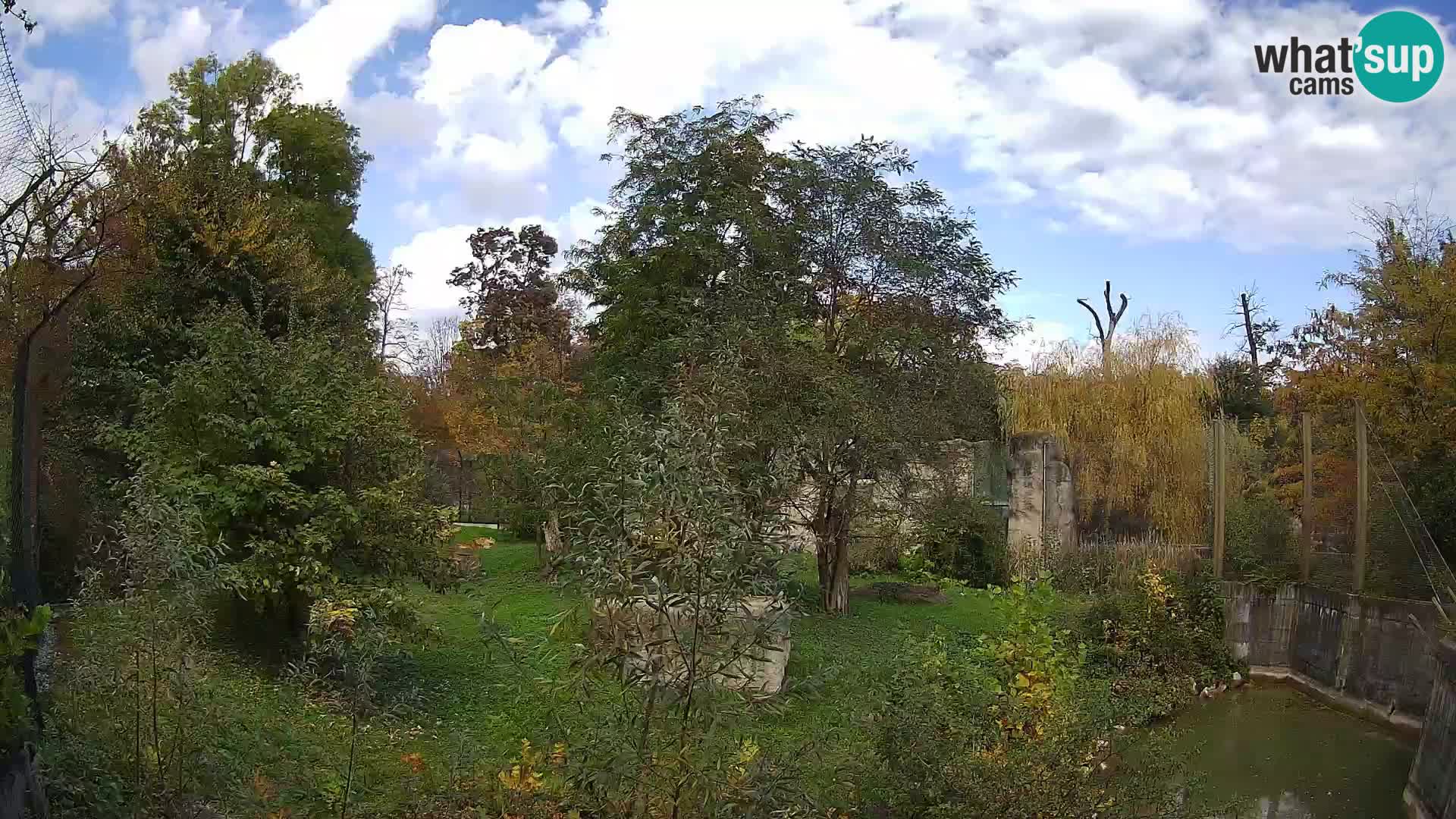 Zoo Zagreb – Leoni