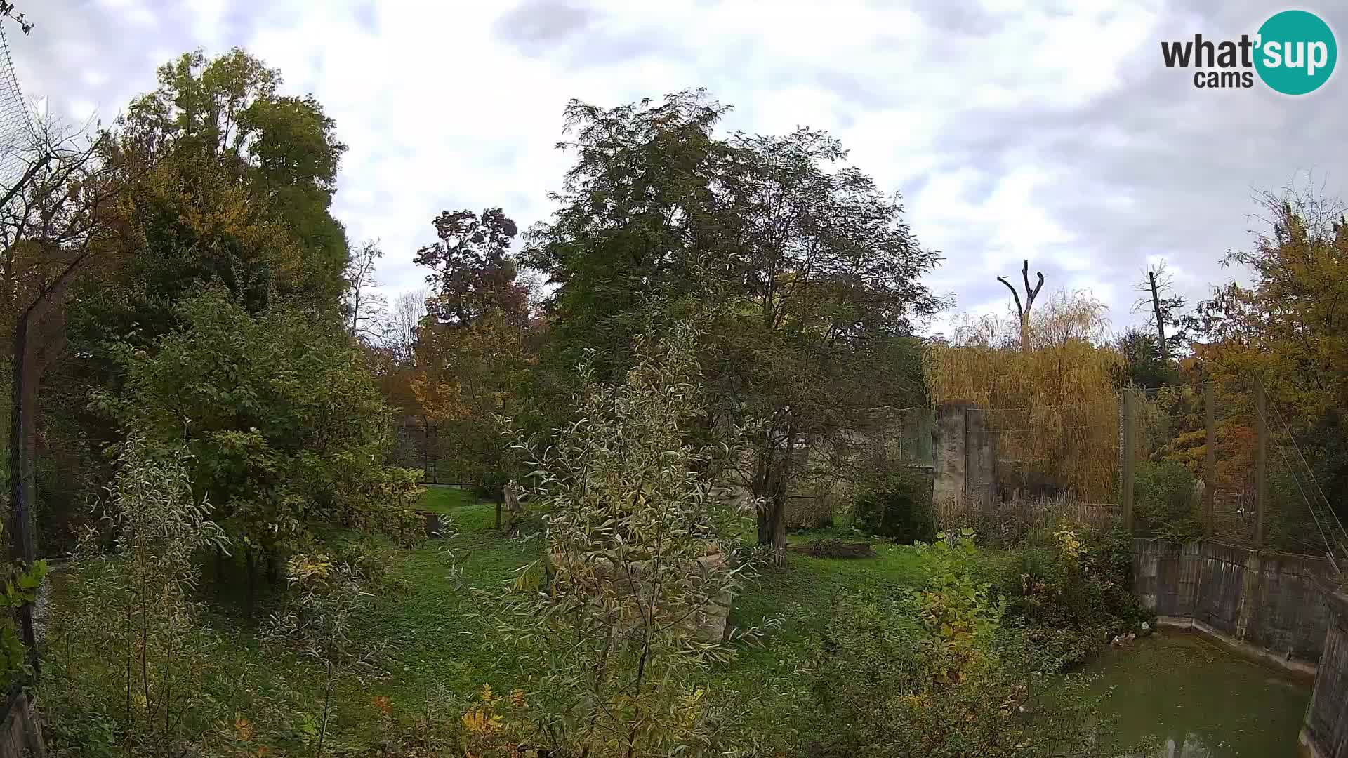 Spletna kamera Zoo Zagreb – Levi