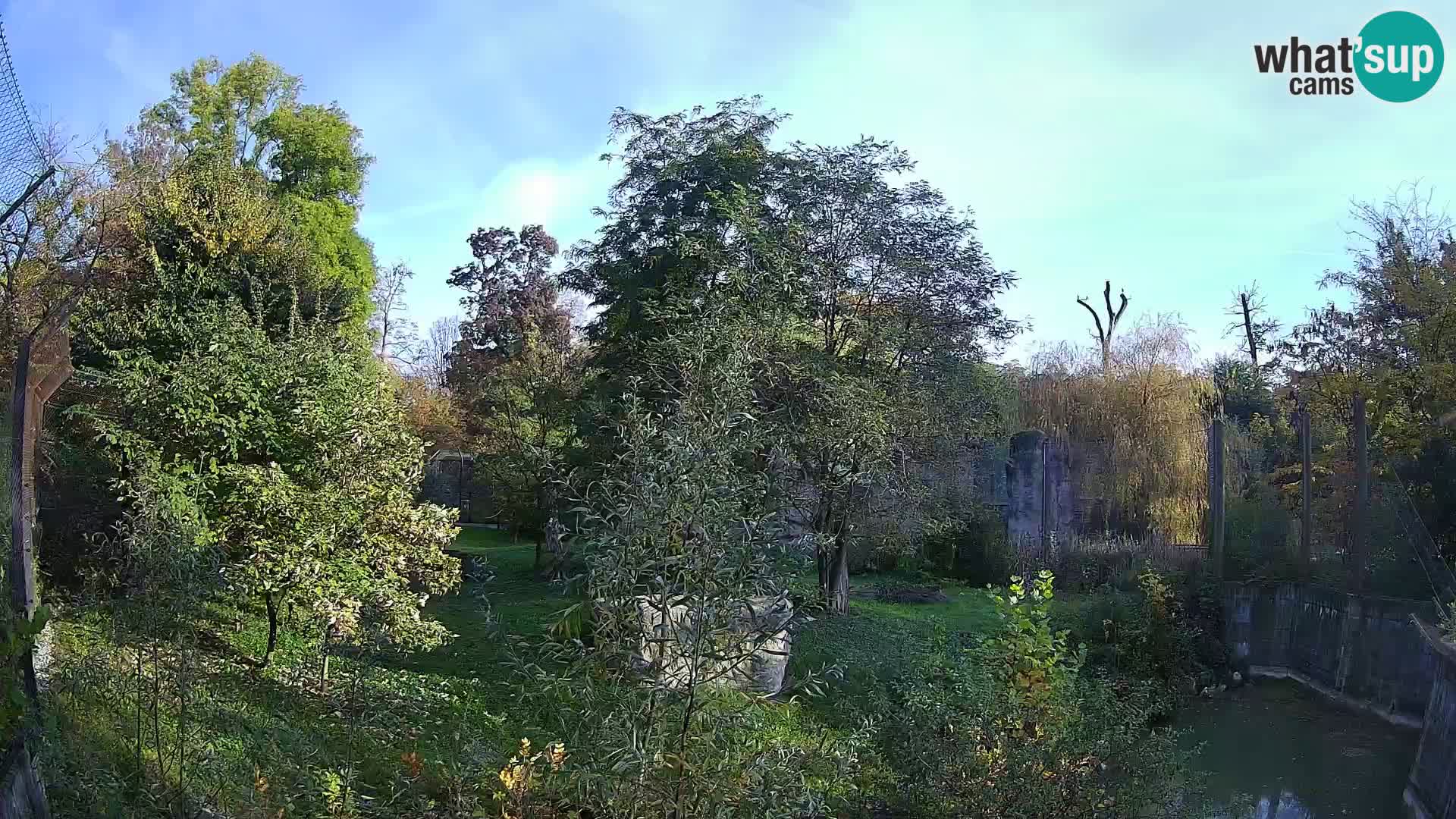 Zoo Zagreb – Löwen