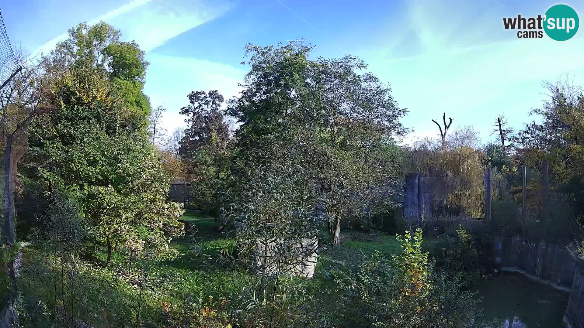 Zoo Zagreb – Leones