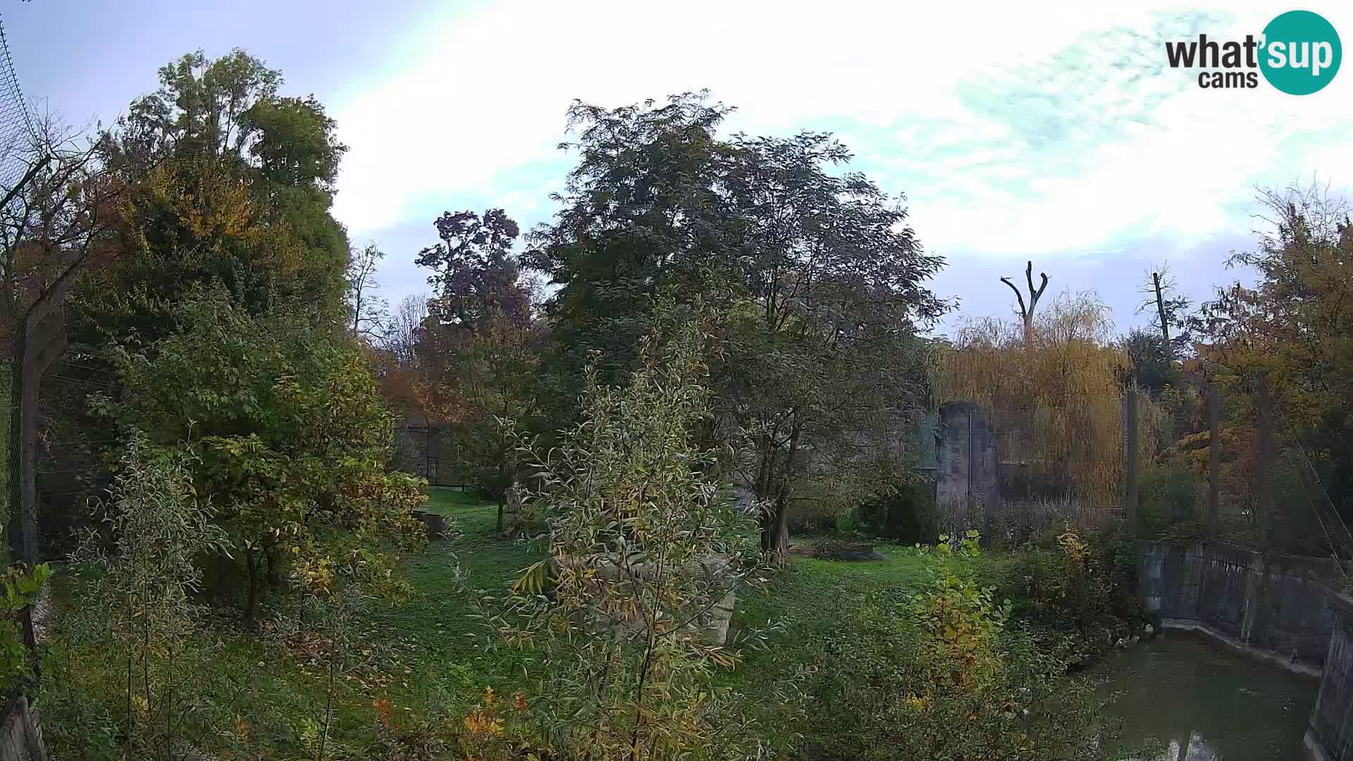 Spletna kamera Zoo Zagreb – Levi