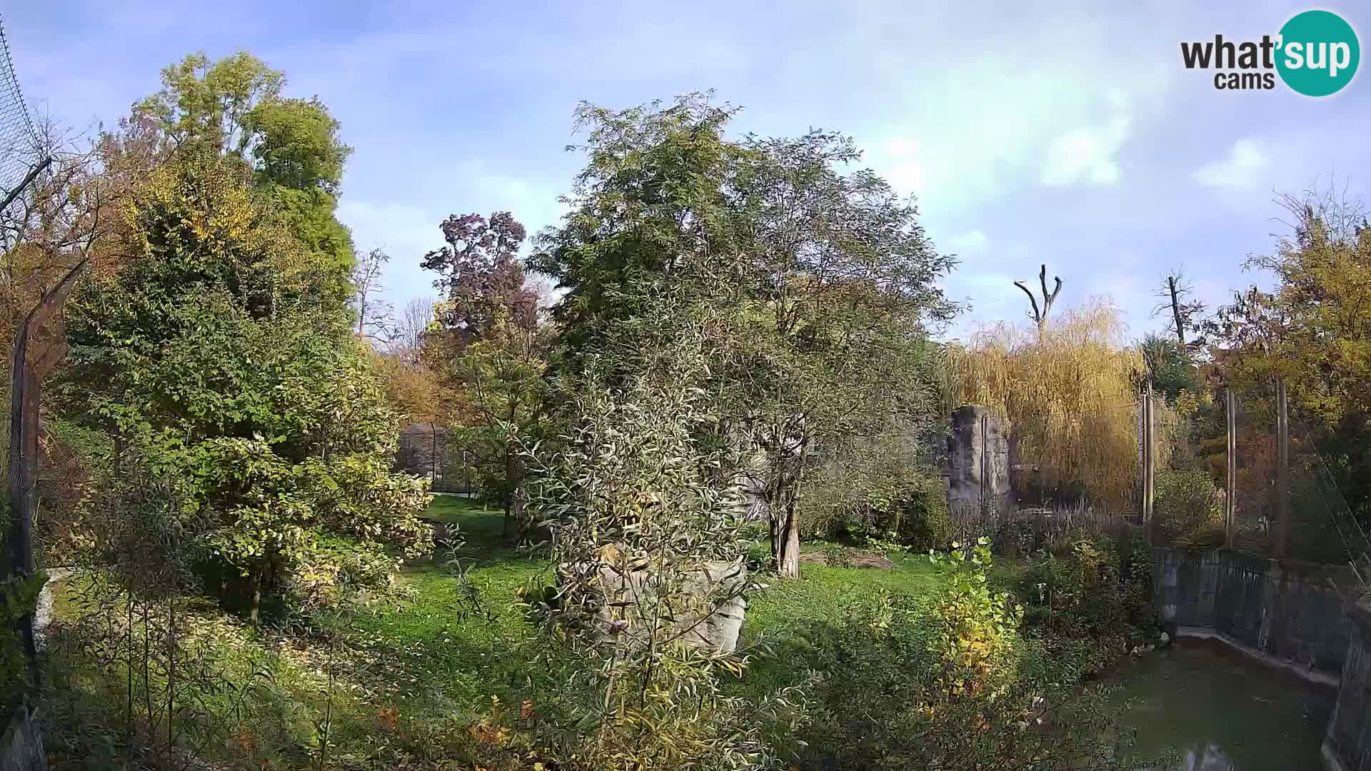 Spletna kamera Zoo Zagreb – Levi