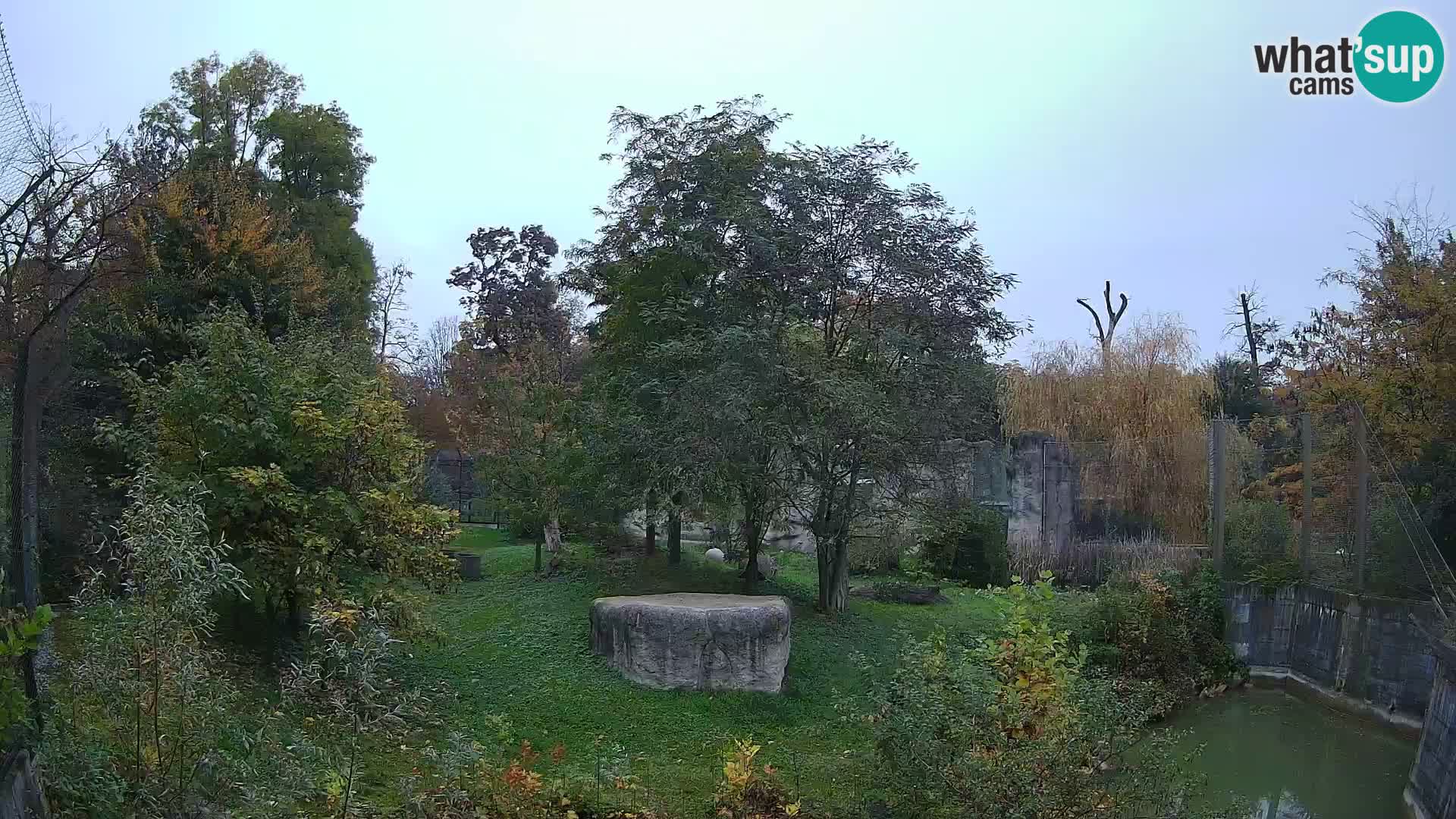 Zoo Zagreb – Löwen