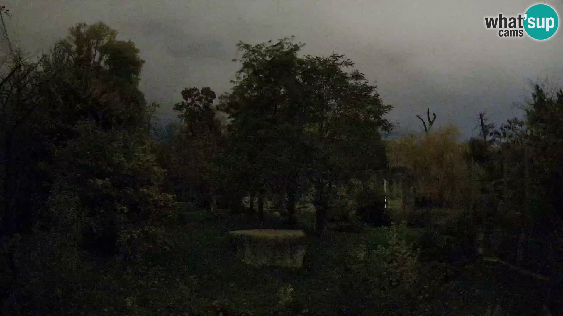 Spletna kamera Zoo Zagreb – Levi