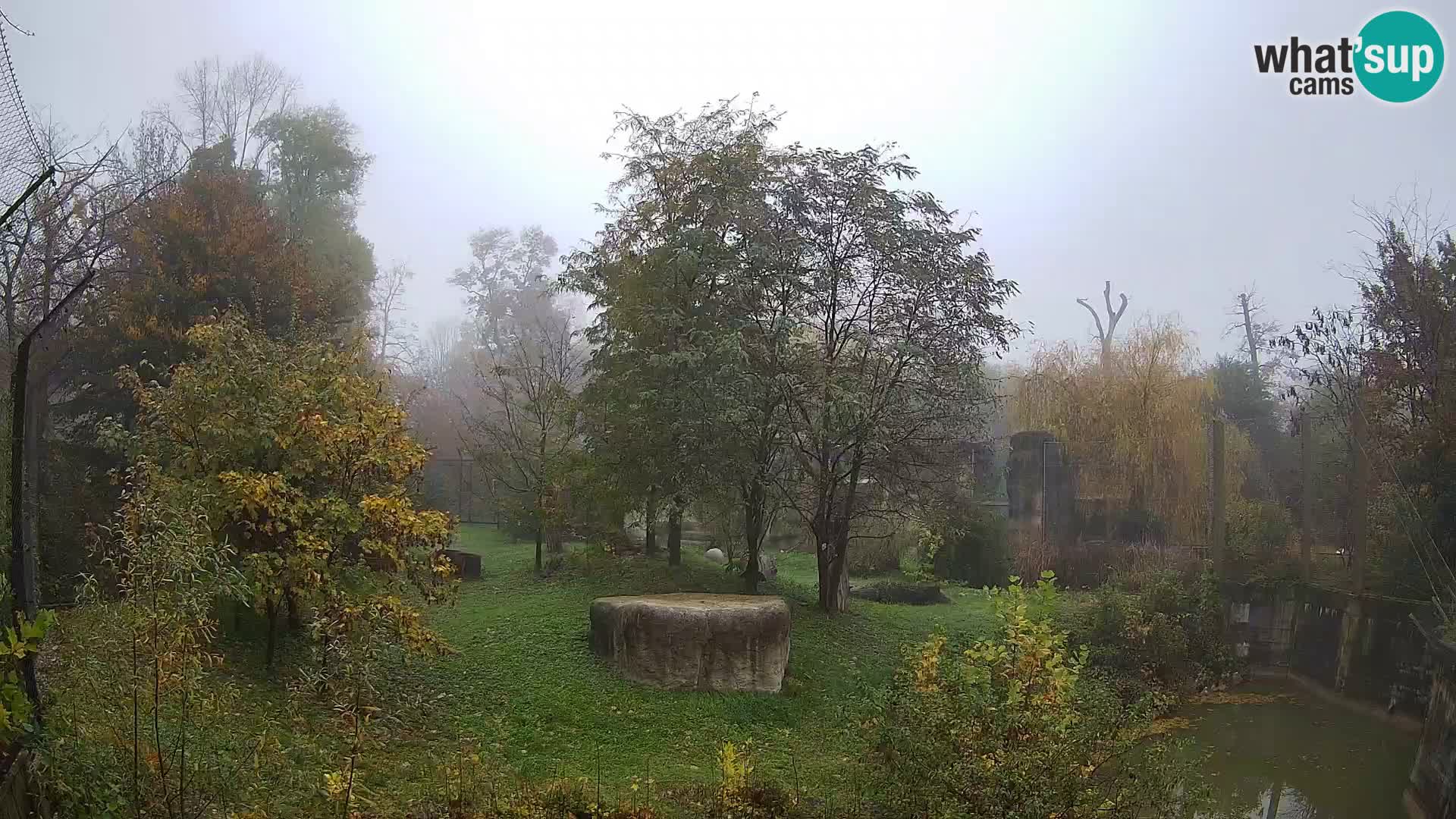 Zoo Zagreb – Löwen