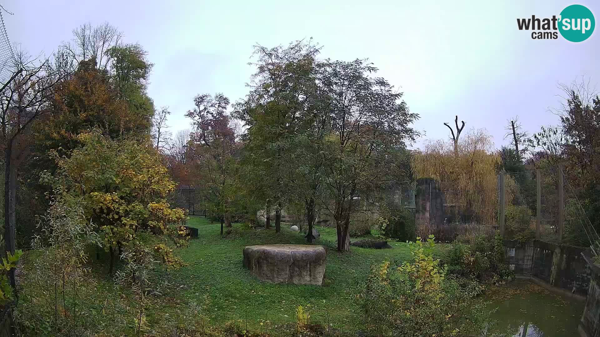 Zoo Zagreb – Leoni