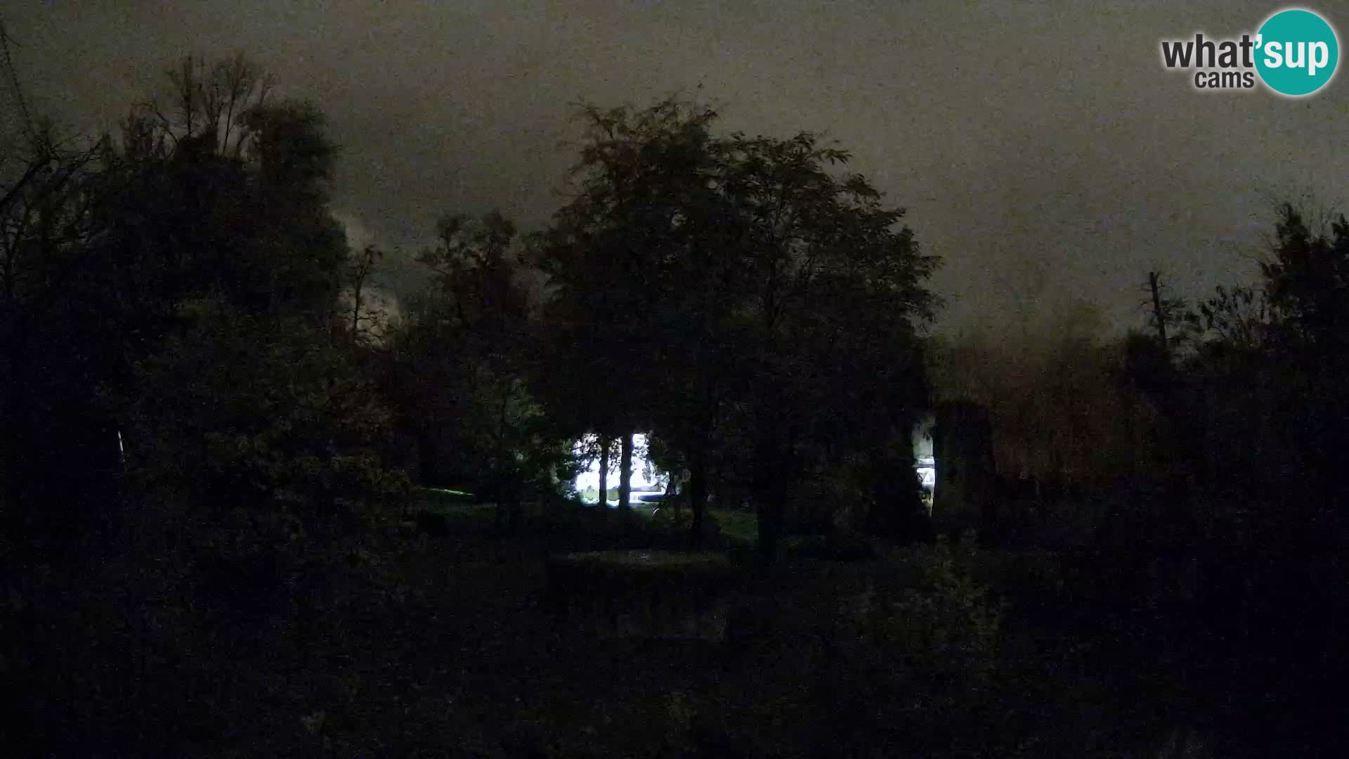 Spletna kamera Zoo Zagreb – Levi