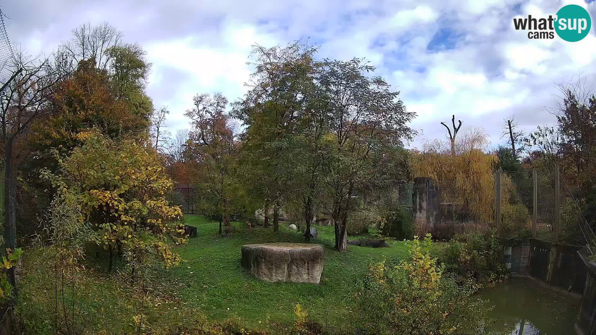 Zoo Zagreb – Löwen