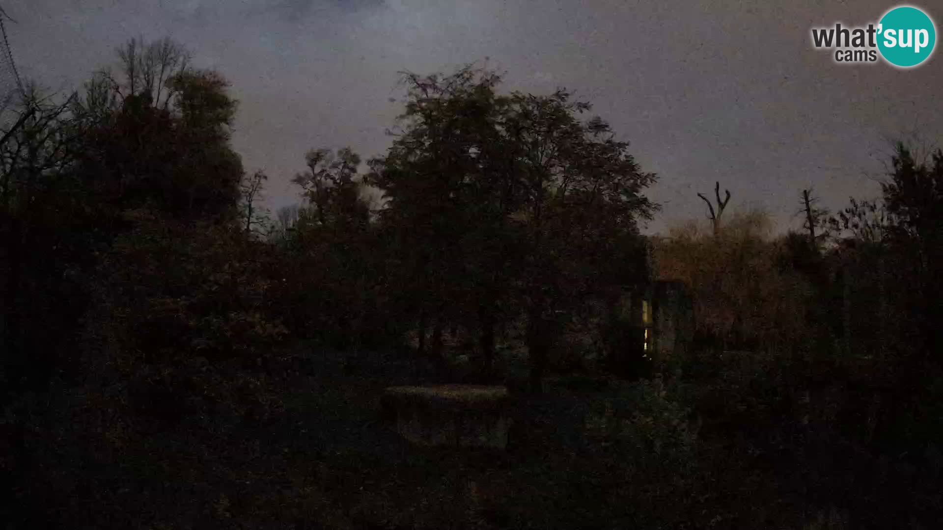 Spletna kamera Zoo Zagreb – Levi