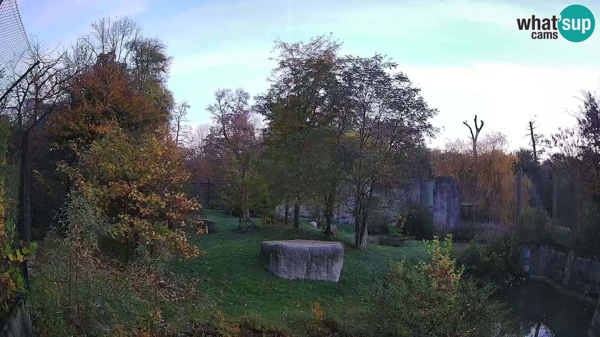 Zoo Zagreb – Leoni