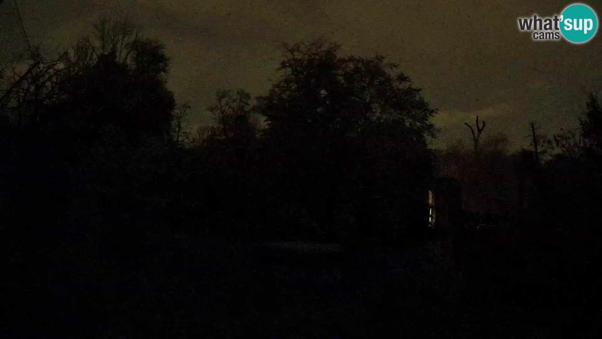 Zoo Zagreb – Lavovi