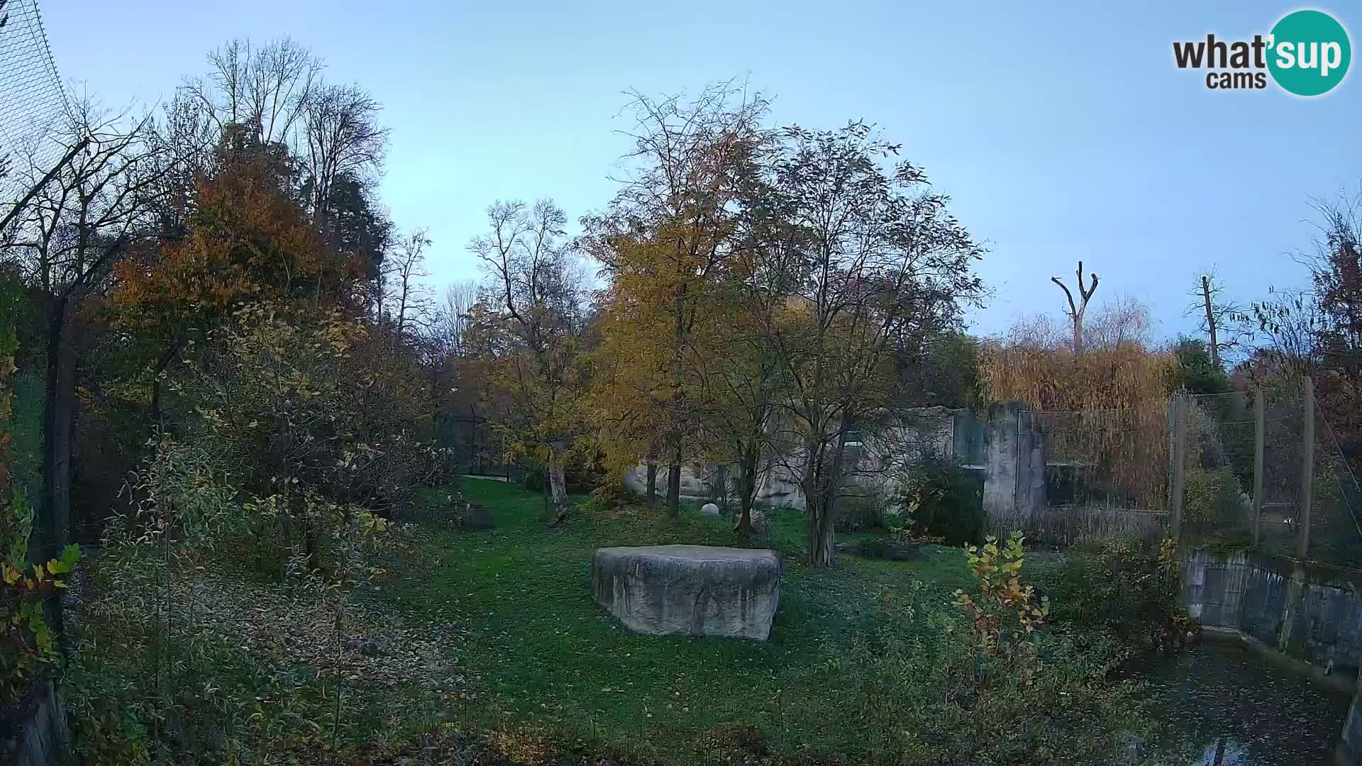 Zoo Zagreb – Leoni