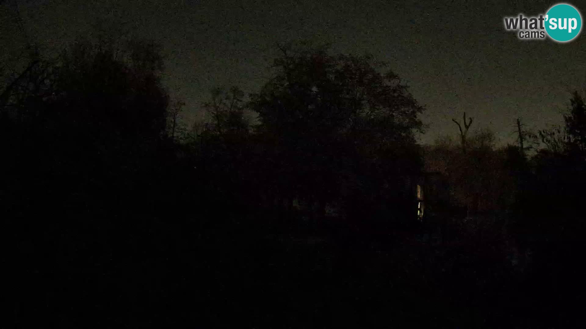 Zoo Zagreb – Leones