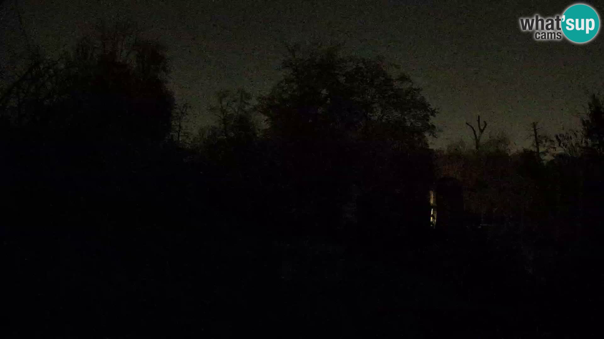 Zoo Zagreb – Lavovi