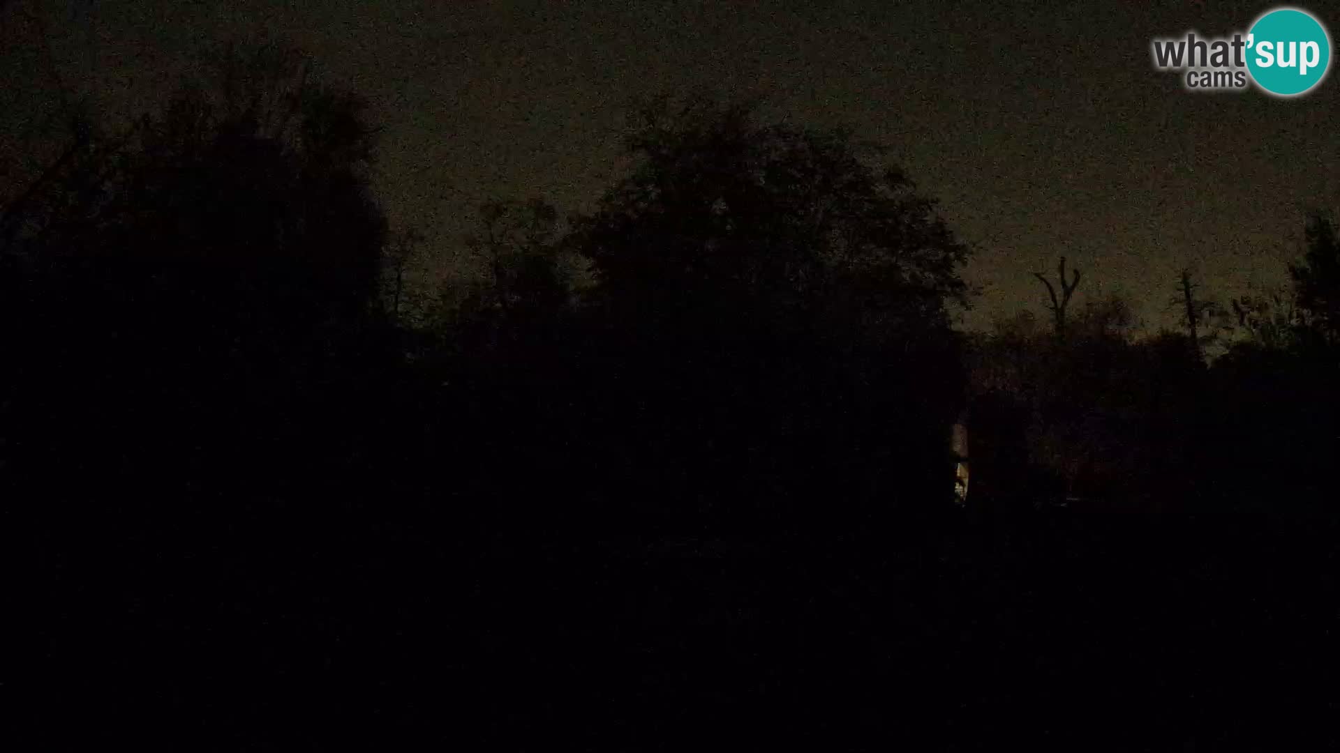 Zoo Zagreb – Löwen