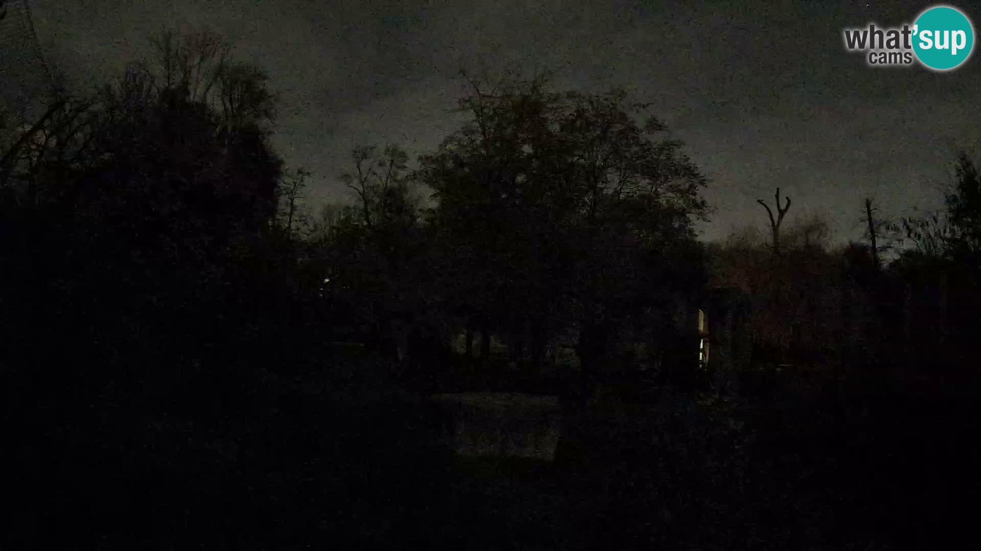 Zoo Zagreb – Löwen