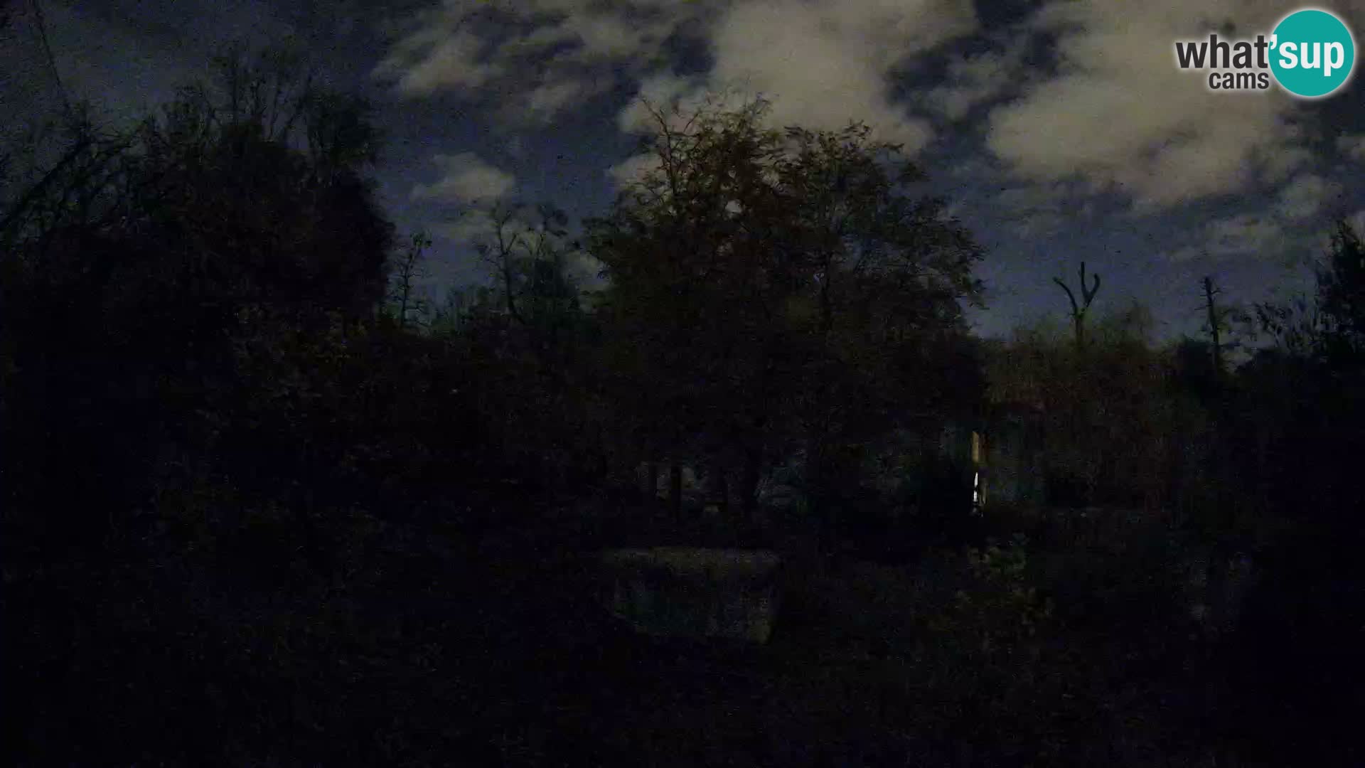 Zoo Zagreb – Lavovi