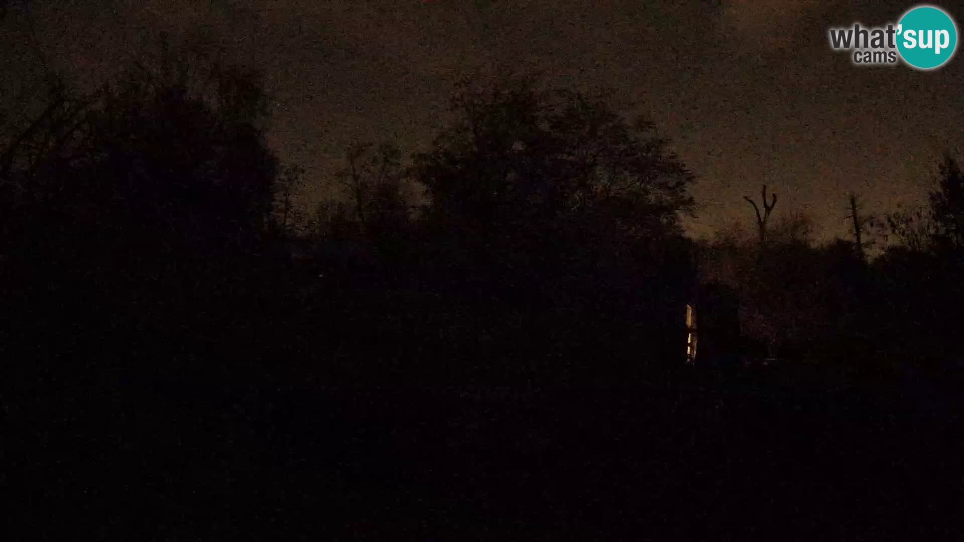 Zoo Zagreb – Leones