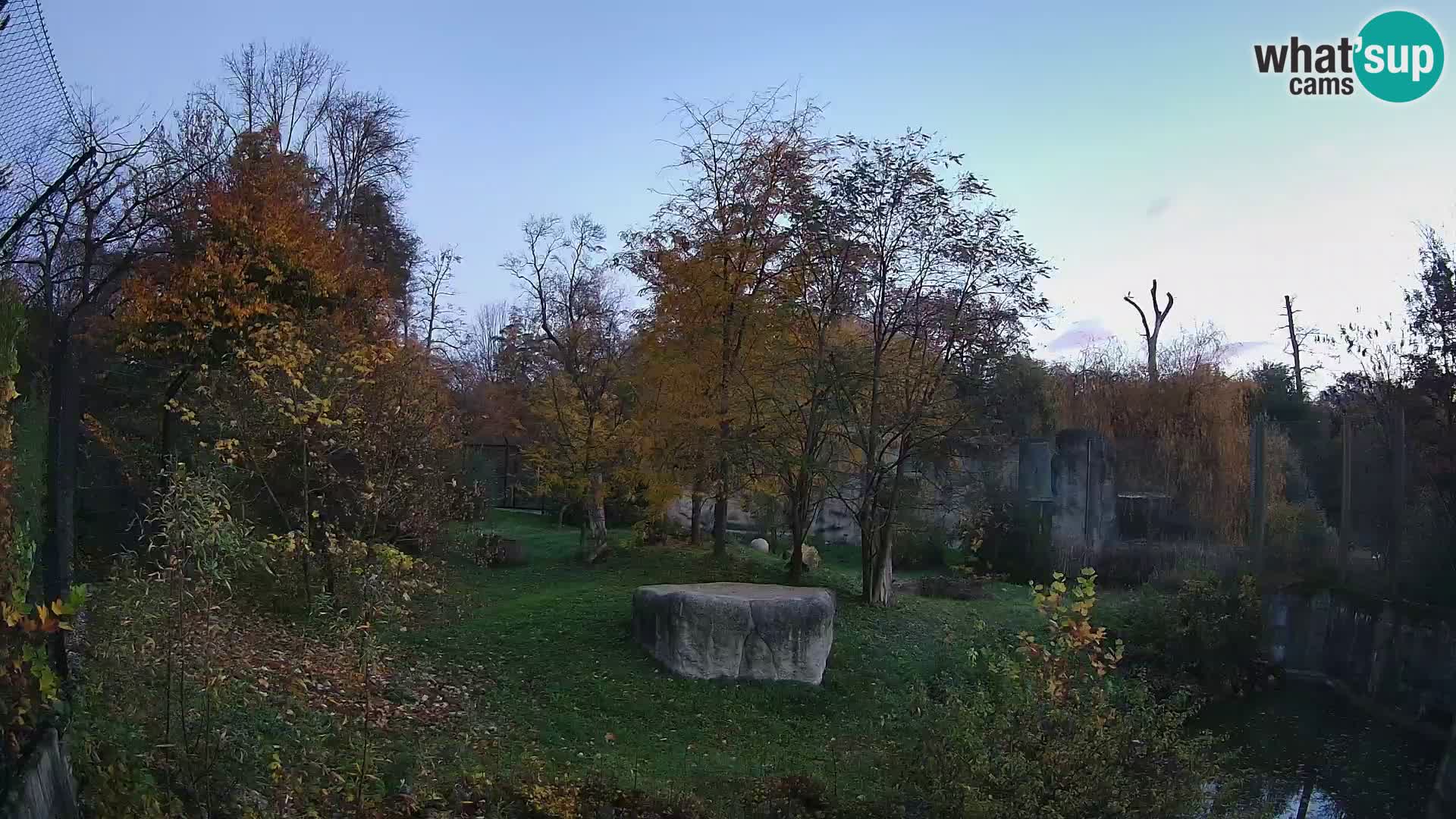 Zoo Zagreb – Löwen