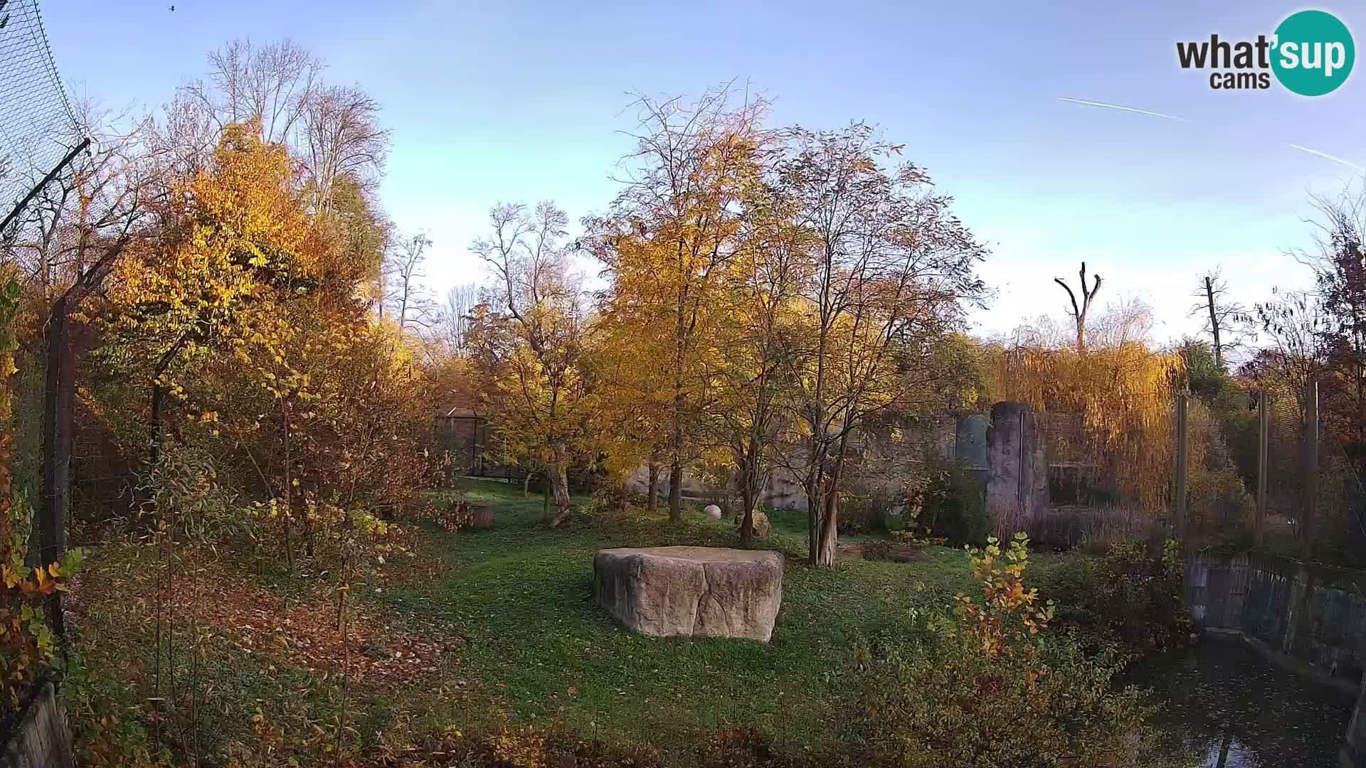 Zoo Zagreb – Leoni