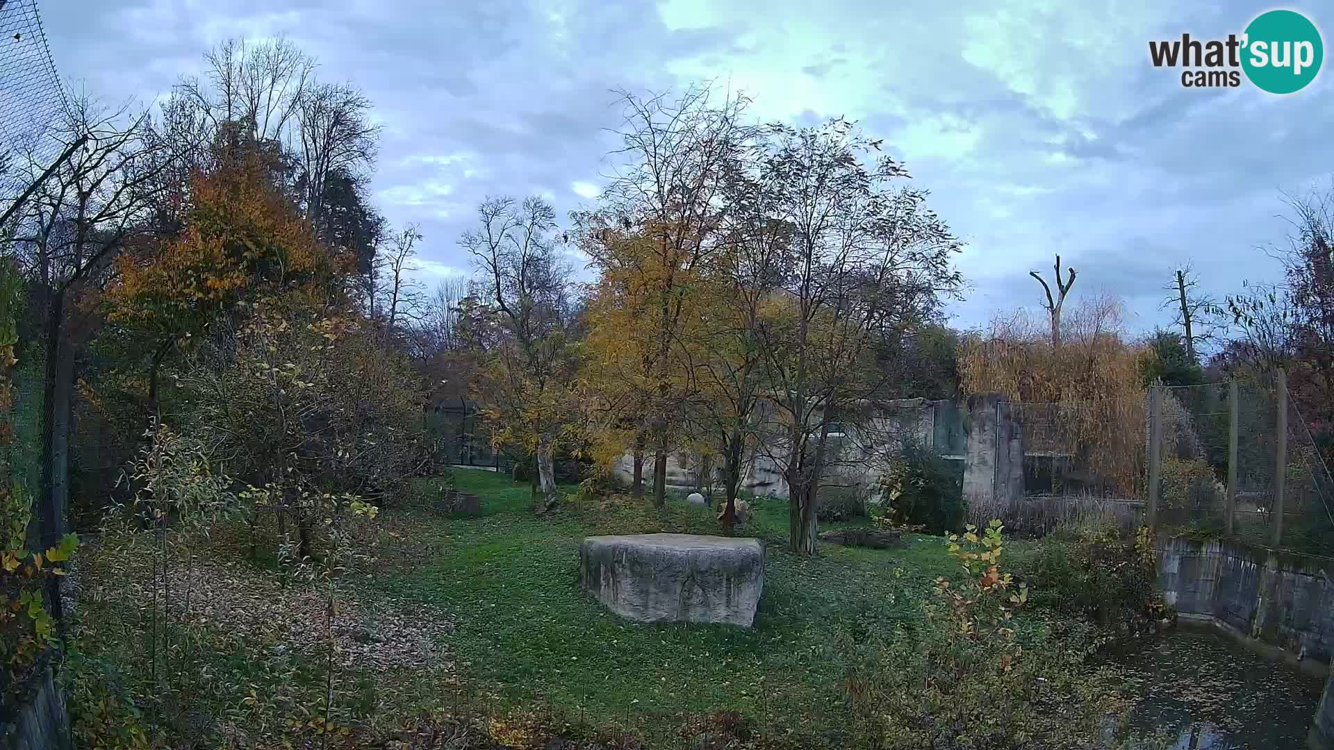 Zoo Zagreb – Löwen