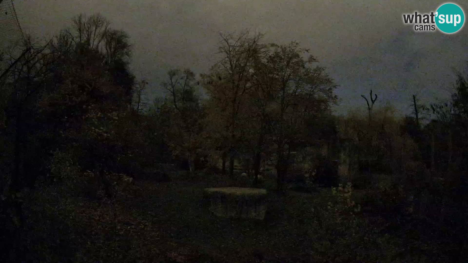 Zoo Zagreb – Löwen