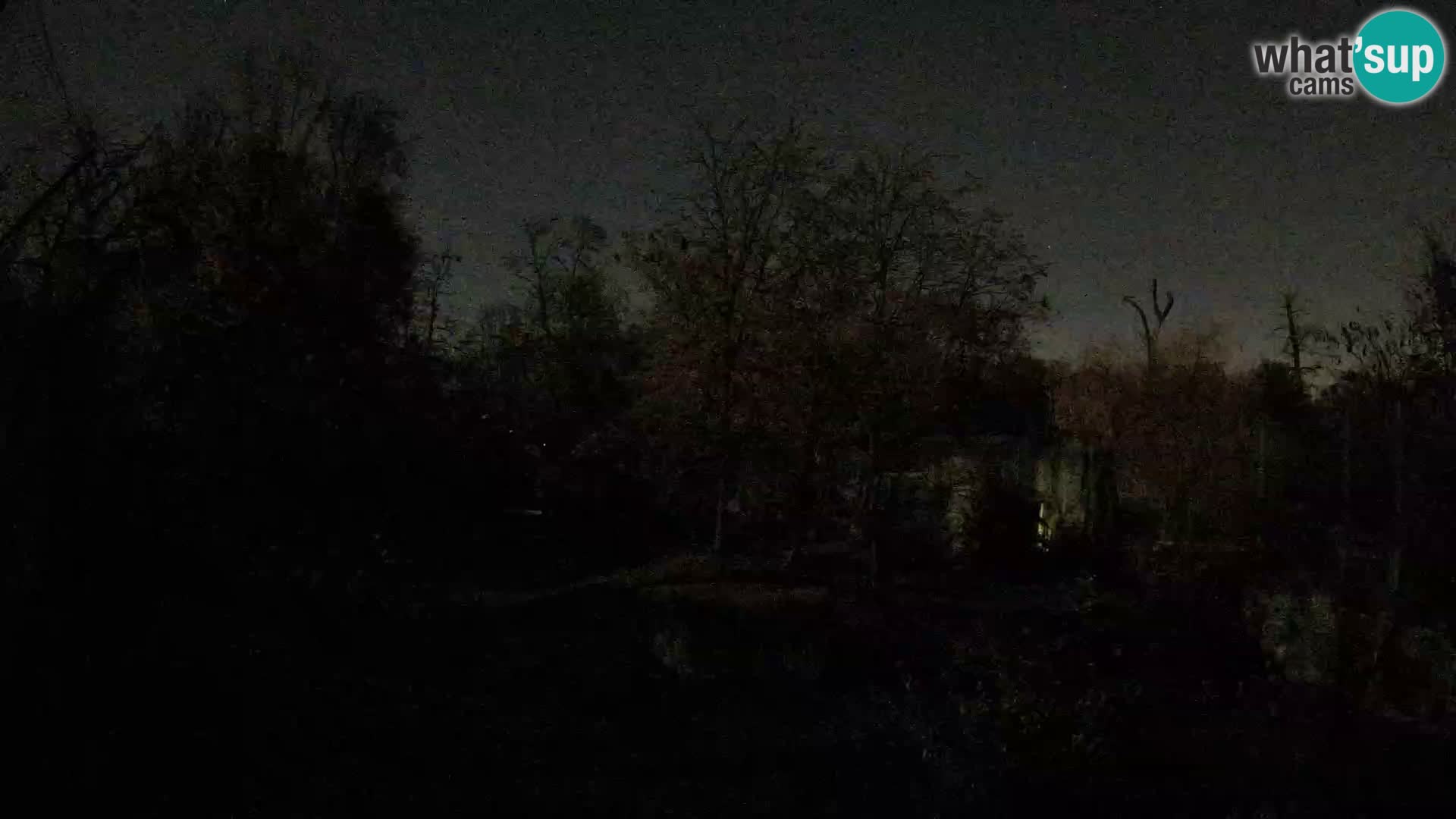 Zoo Zagreb – Leones