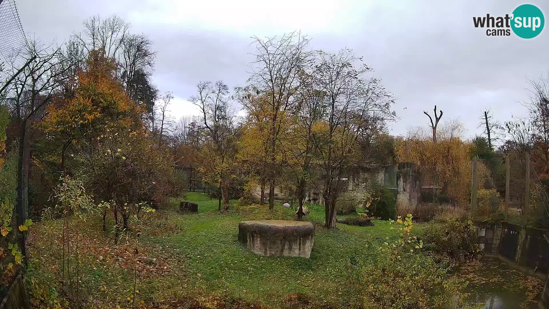 Zoo Zagreb – Löwen