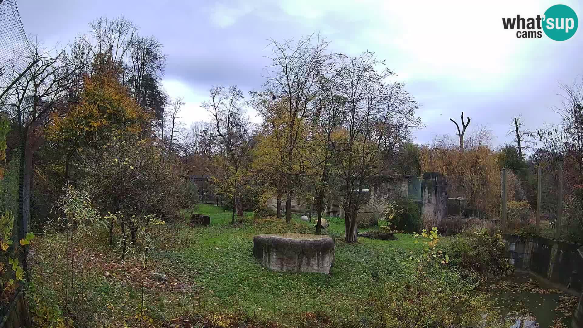 Zoo Zagreb – Leoni