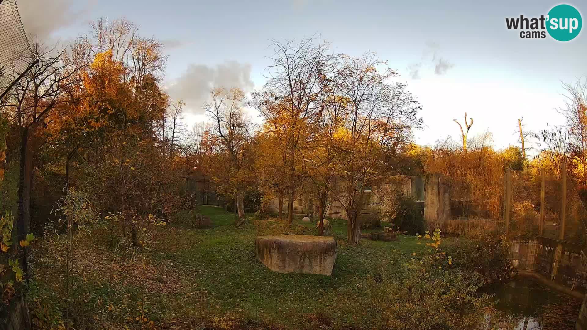 Zoo Zagreb – Leoni