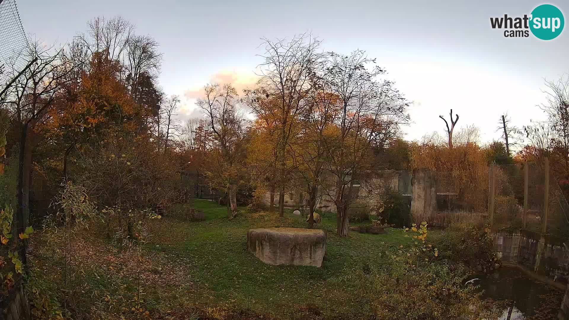 Zoo Zagreb – Leones