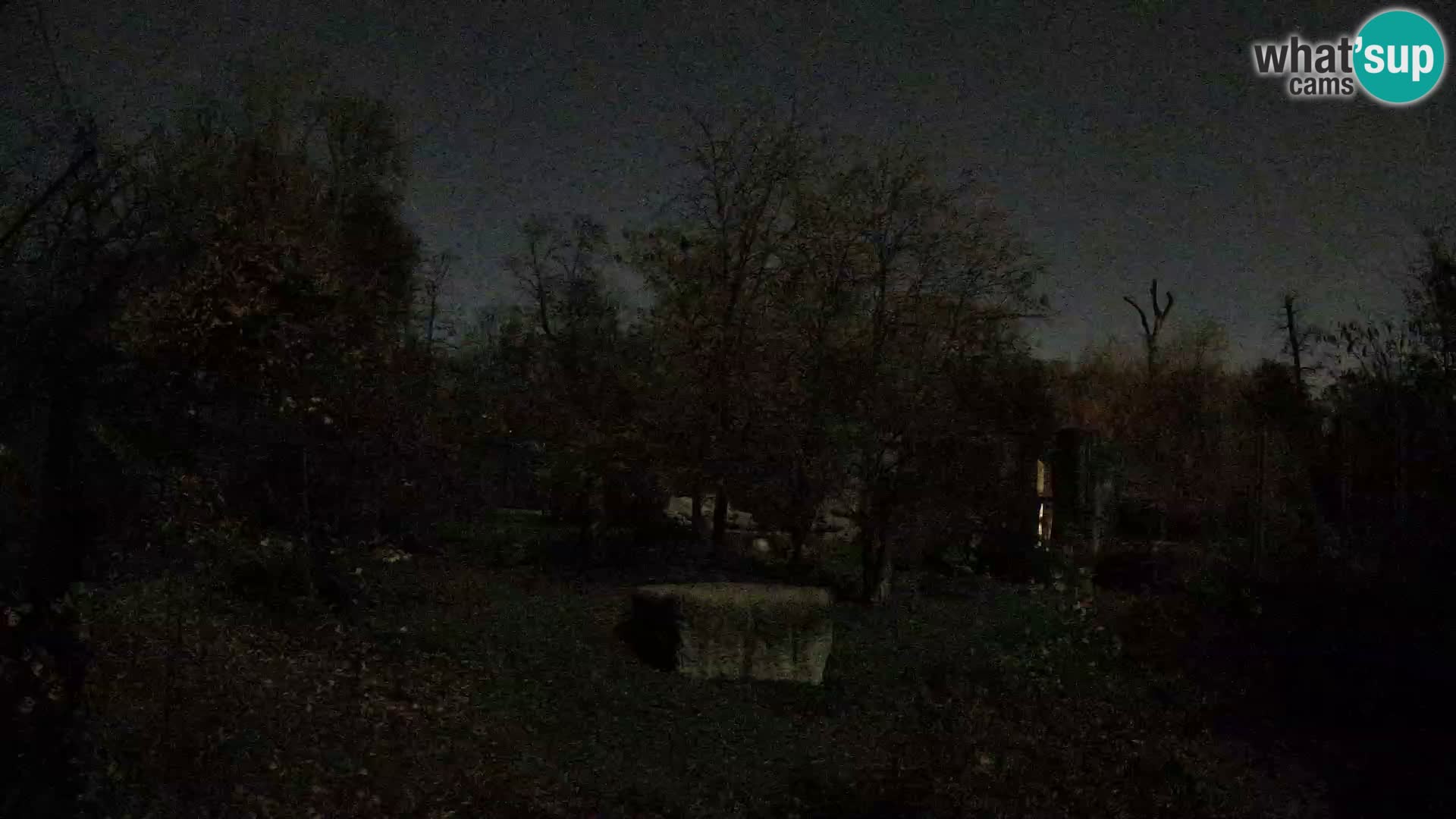 Zoo Zagreb – Leones