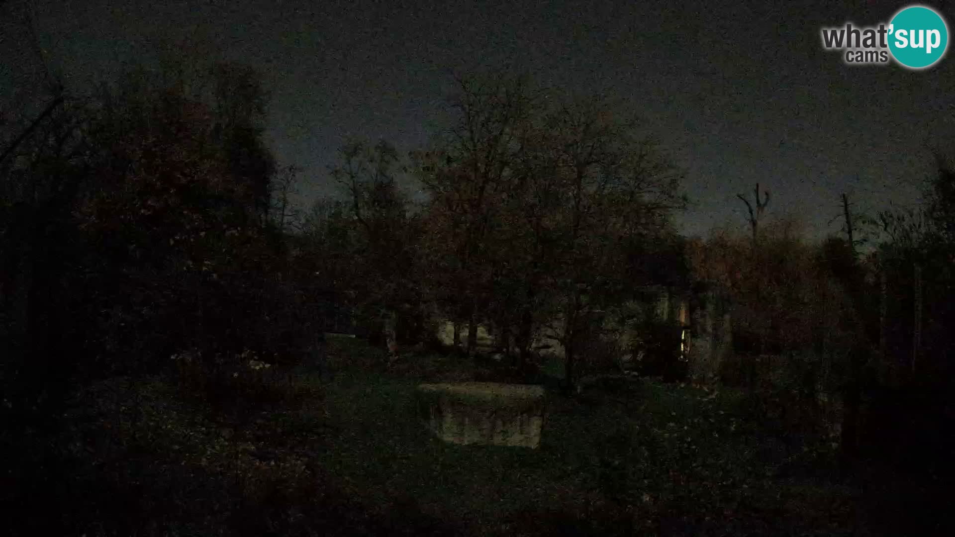 Zoo Zagreb – Leoni