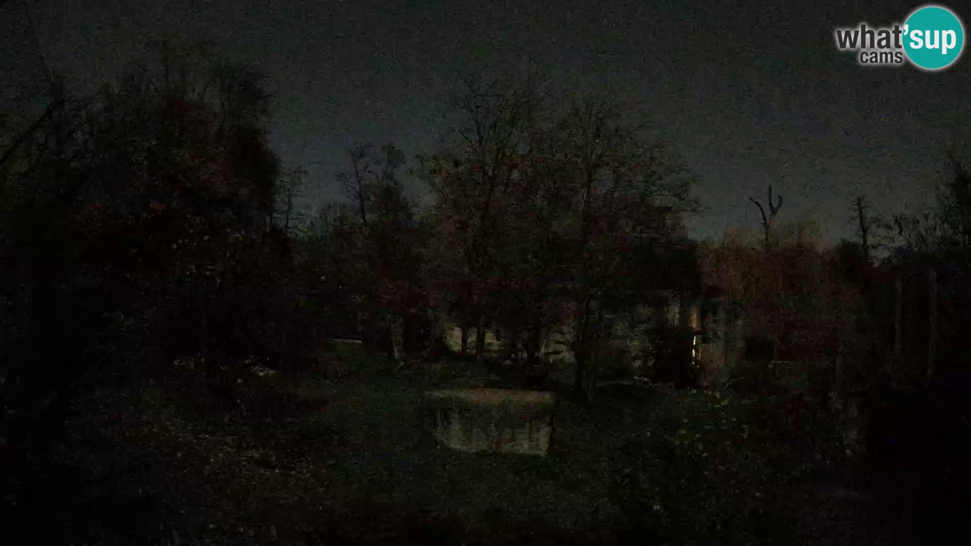 Zoo Zagreb – Leones