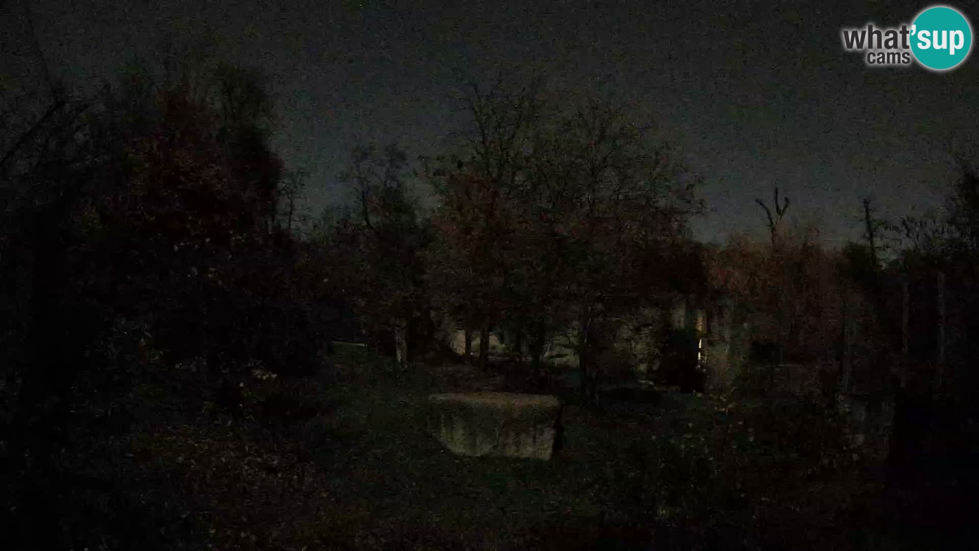 Zoo Zagreb – Leones