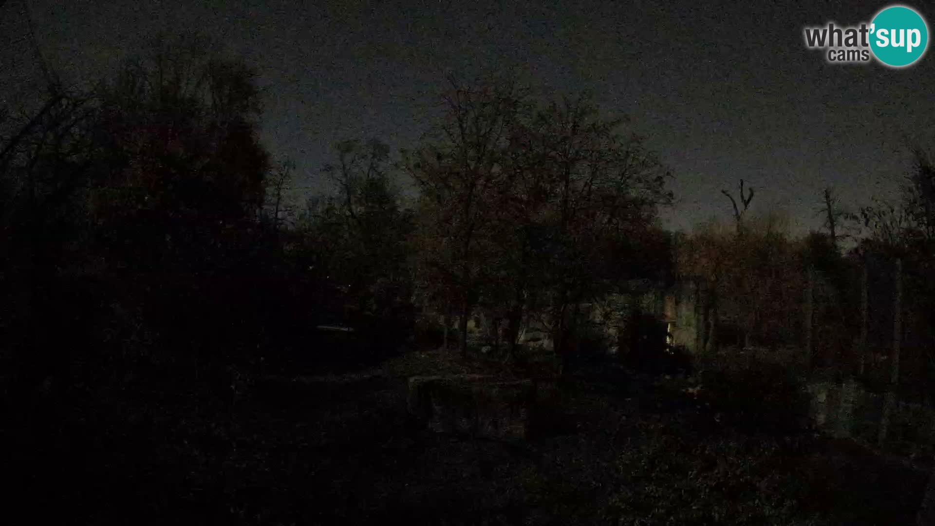 Zoo Zagreb – Löwen