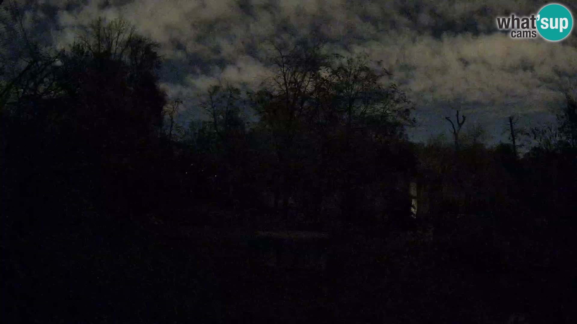 Zoo Zagreb – Leoni